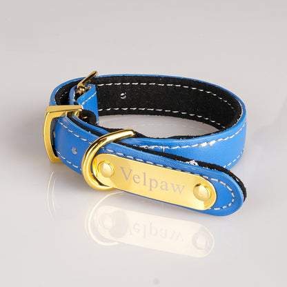 Velpaw AirTag Dog Collar